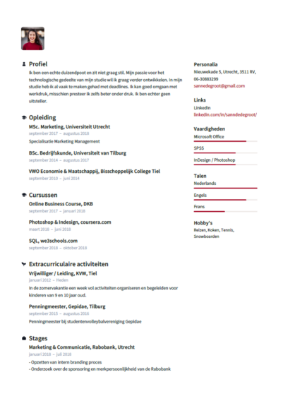 cv voorbeeld student