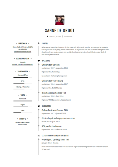 cv voorbeeld student