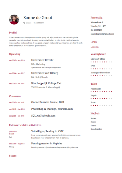 cv voorbeeld student