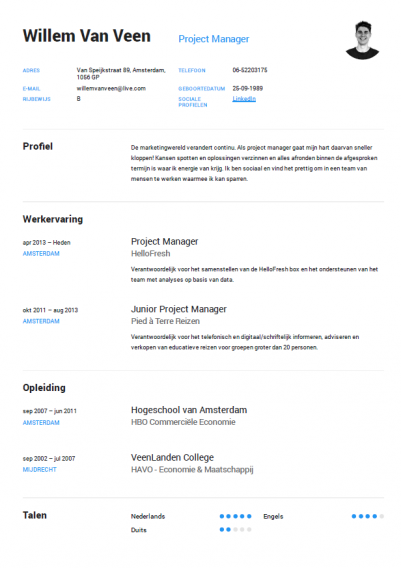 cv project manager cv project manager