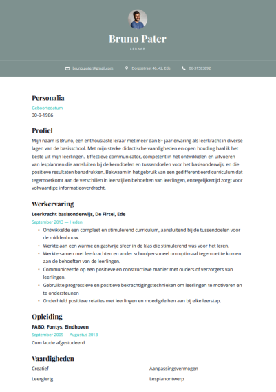 cv-voorbeeld-leerkracht-3 cv-voorbeeld-leerkracht